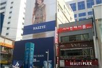 동 헤지스 구조보강
